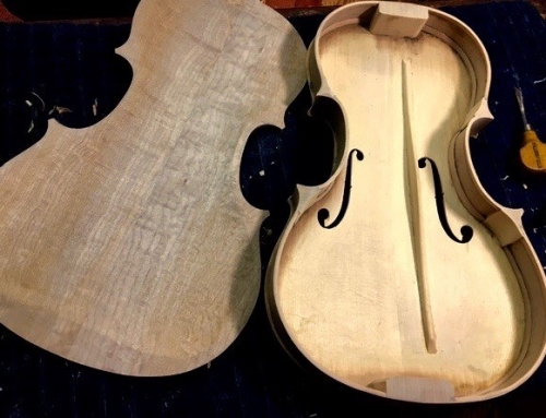 7-String Mezzo Violin