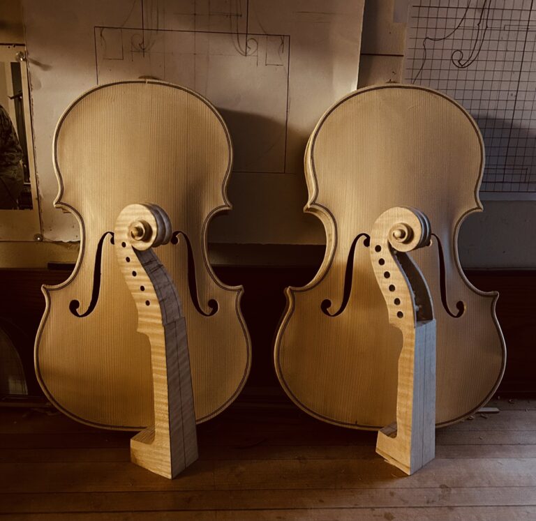 408725006 841141054687530 6547859183972878455 n