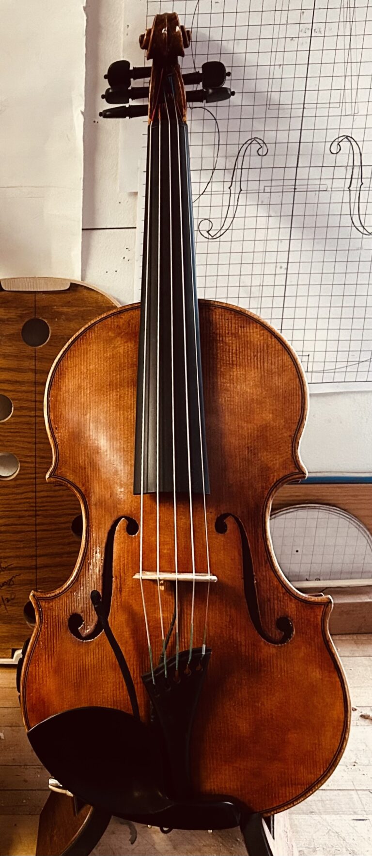 422644689 875463917921910 1459053095451453813 n