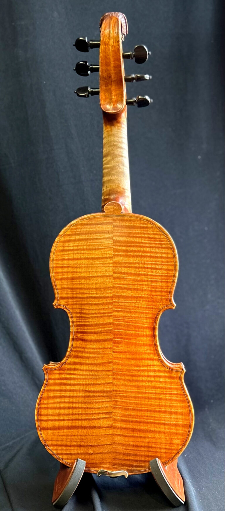 The lady body scaled