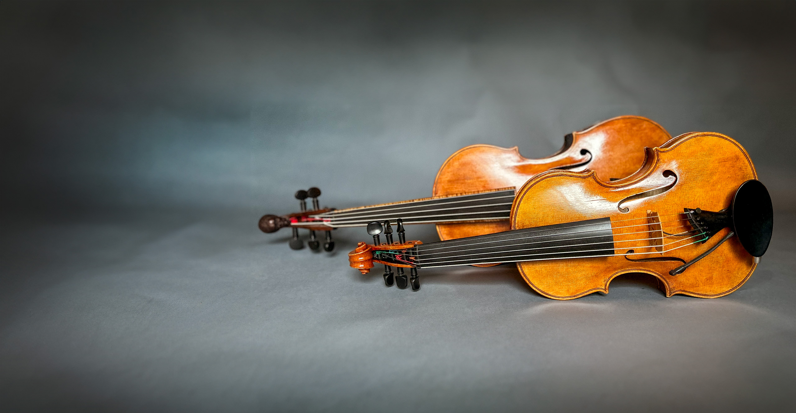 Hero w background 10 side violins2