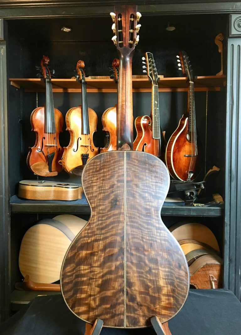 Parlor guitar back