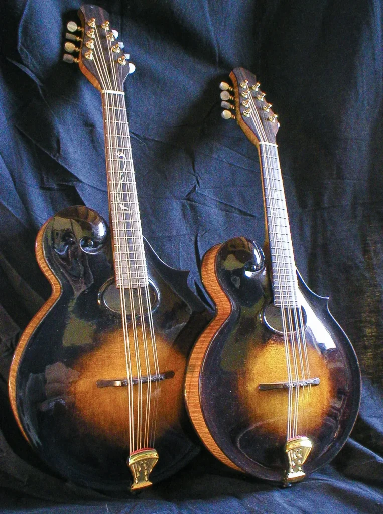 Some mandolilns